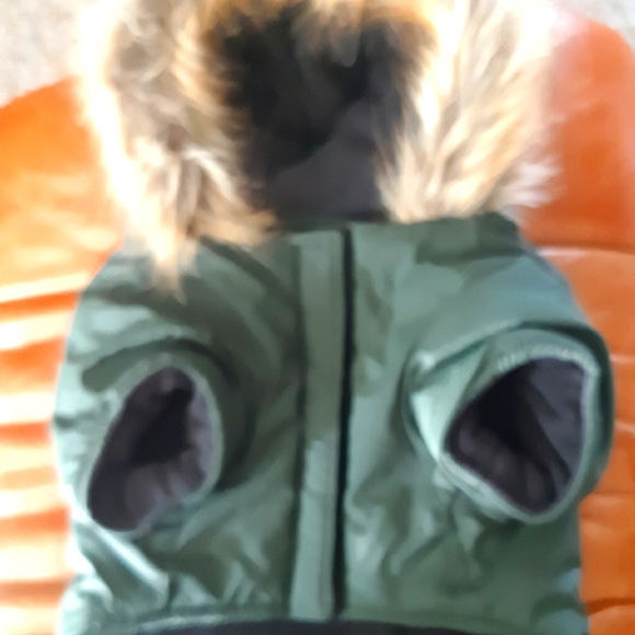 North Fetch Athletics Dog Parka - Picture 2 of 15